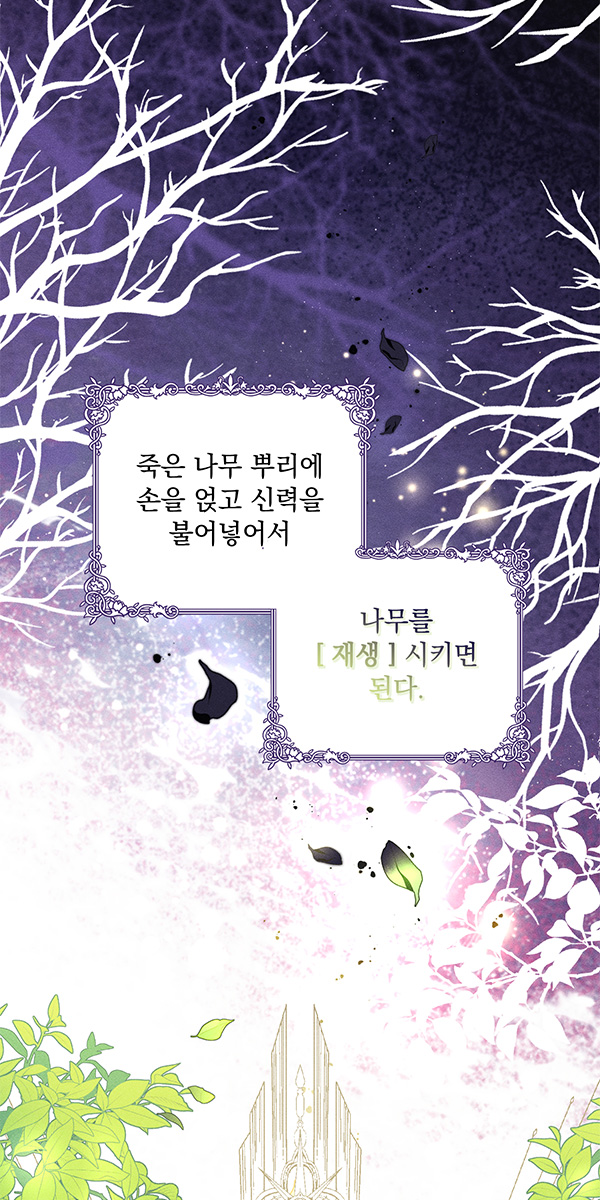 2025-강의-안내-탄귤-커리큘럼-33